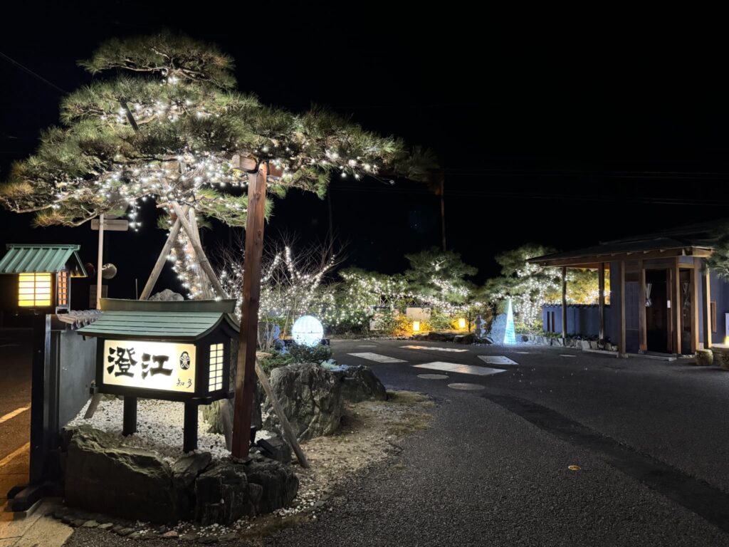 冬のイルミネーション始めました